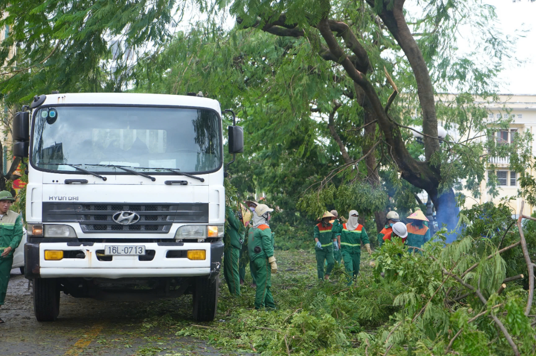 1.-nhan-vien-cong-ty-tnhh-mtv-moi-truong-do-thi-hai-phong-thu-don-cay-do-tren-cac-tuyen-duong..png