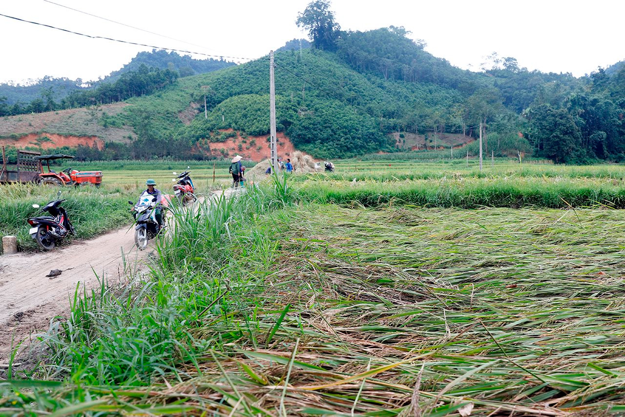 small_20240919_cuc-ksonmt-di-tuyen-quang_5.jpg