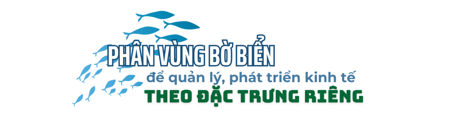 tieu-de-nho(2).png