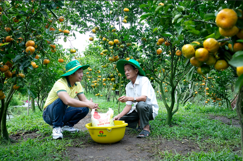 phan-bon-ca-mau-cung-nha-nong-kien-tao-nong-nghiep-viet-ben-vung-hon-thinh-vuong-hon.png