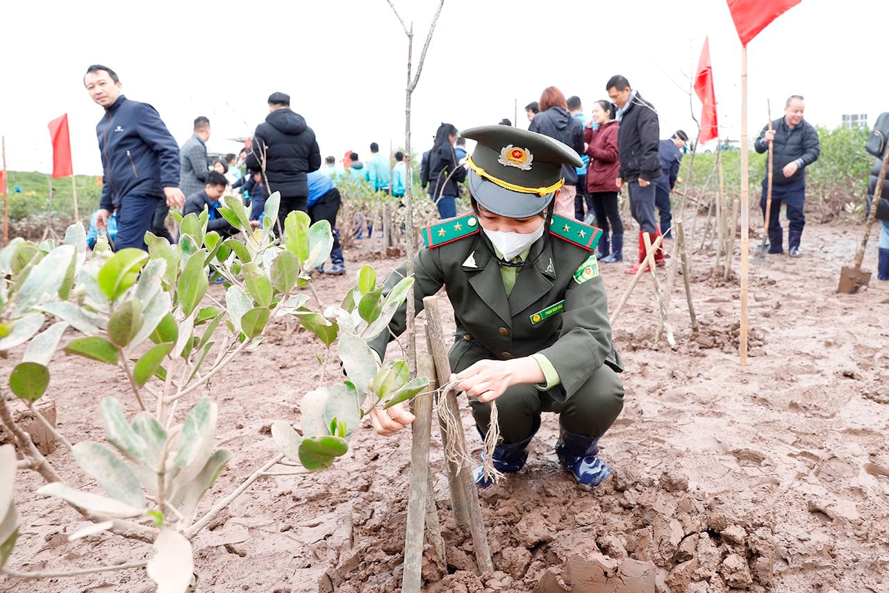 small_20250104_bt-trong-cay-thai-binh_4.jpg