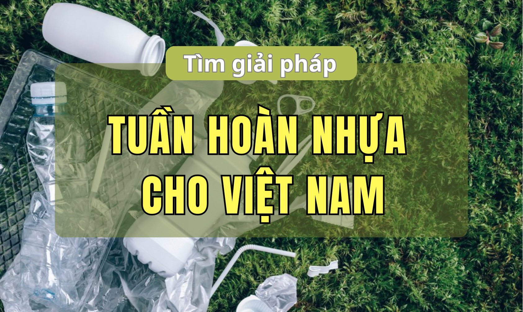 tuan-hoan-nhua.png