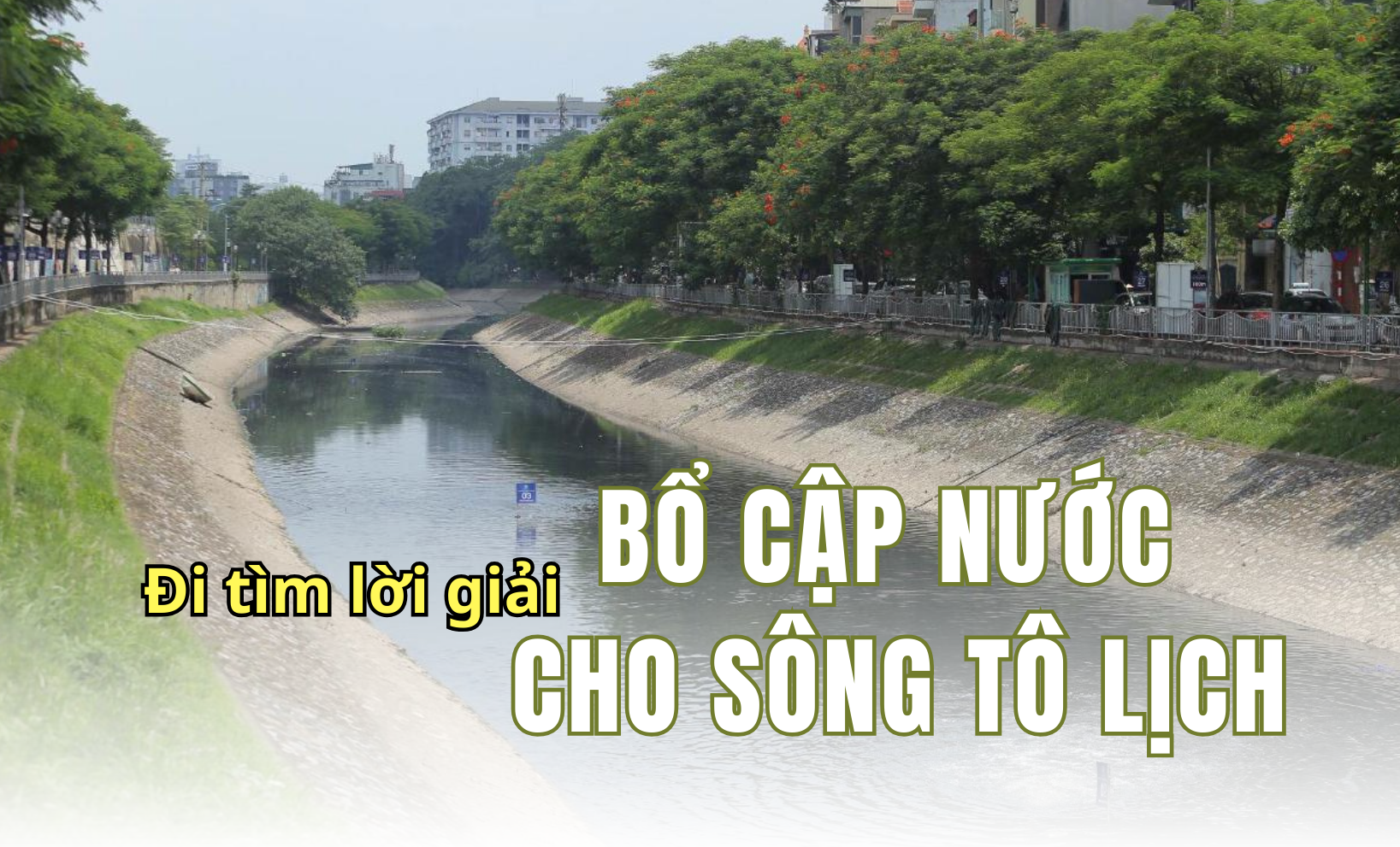 ban-sao-cua-tuan-hoan-nhua.png