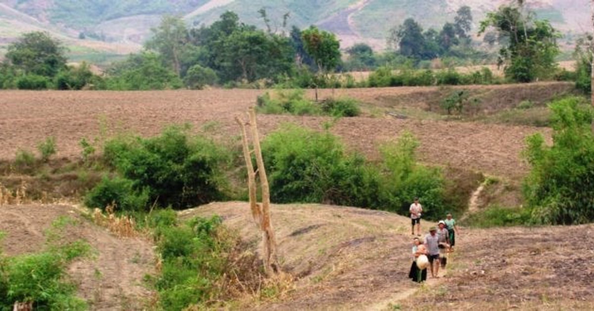 Cấp sổ đỏ cho đất khai hoang: Cần xem xét cả quá trình sử dụng đất