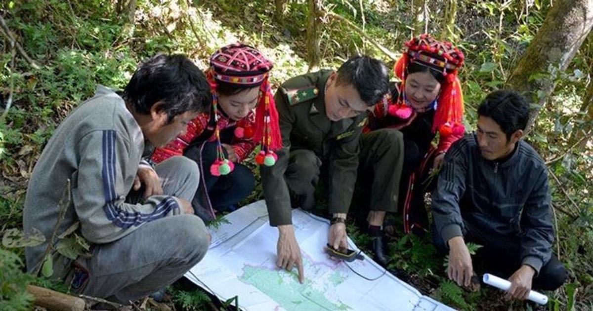 Khu Bảo tồn thiên nhiên Mường Nhé: Nơi bảo tồn nguồn gen quý hiếm