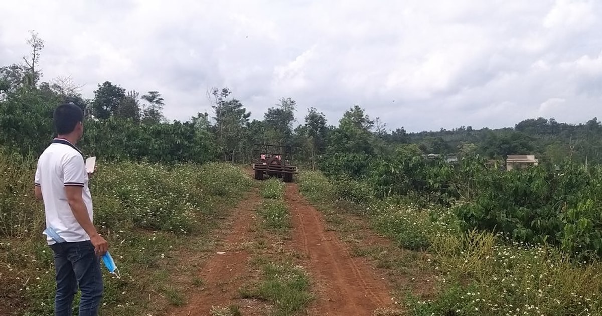 baotainguyenmoitruong.vn