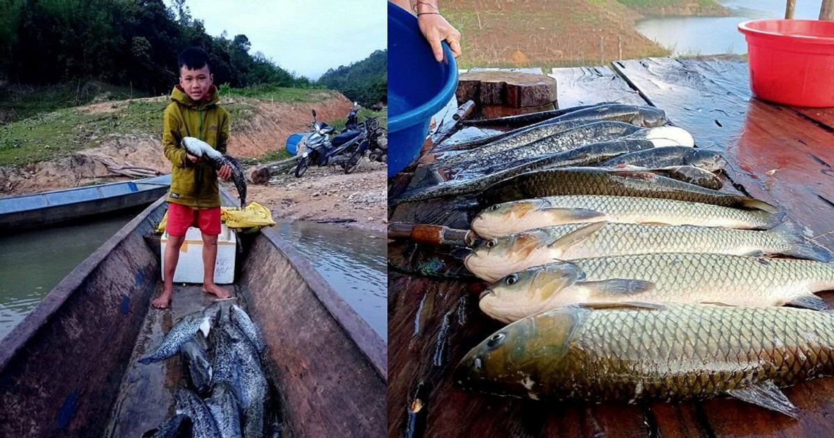 Nghệ An: Người dân làm giàu từ nghề nuôi cá lồng ở