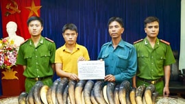Khen thưởng Công an Lào Cai bắt giữ vụ vận chuyển trái phép 106 kg ngà voi ở biên giới