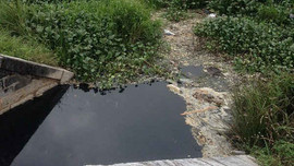 Trạm xử lý nước thải KCN Nam Cấm xả nước thải chưa xử lý ra môi trường
