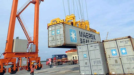 Tiếp tục xử lý việc tạm giữ lô hàng đông lạnh của Cty Maersk Việt Nam
