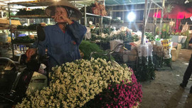 Rộn ràng chợ hoa Quảng Bá