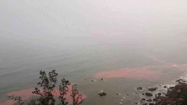 Thừa Thiên Huế: Đã lấy mẫu nước màu đỏ dọc bờ biển đi xét nghiệm