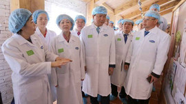 Vinamilk có trang trại bò sữa organic tiêu chuẩn Châu Âu đầu tiên tại Việt Nam