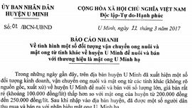 Nghi vấn nhái thương hiệu mật ong rừng U Minh hạ