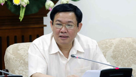 Phó Thủ tướng Vương Đình Huệ: Tập trung xử lý ô nhiễm môi trường nông thôn
