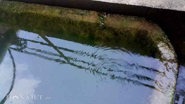 Nước sạch toàn hến chết ở Ninh Bình: Đã lấy mẫu nước để kiểm nghiệm