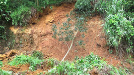 Huyện Đồng Văn (Hà Giang): Mưa lớn gây thiệt hại nhiều tà sản và hoa màu