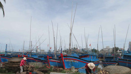Bình Định: Cảng cá Tam Quan với nỗi lo ô nhiễm môi trường
