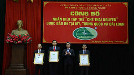 Công bố nhãn hiệu tập thể Chè Thái Nguyên được bảo hộ tại Mỹ, Trung Quốc và Đài Loan