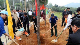 Phó Chủ tịch Quốc hội Đỗ Bá Tỵ tham dự Tết trồng cây tại Lào Cai