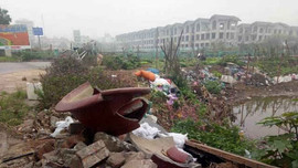 Hà Nội: Đường vào thung lũng hoa Hồ Tây ngập trong rác