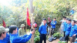 Nghệ An: Trồng cây vì môi trường xanh trong Khu BTTN Pù Hoạt