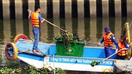 Phó Chủ tịch UBND TPHCM: Không để cá chết trên kênh Nhiêu Lộc - Thị Nghè