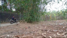 Sở Xây dựng Hà Nội phản hồi bài báo rác thải được tập kết trên đất nông nghiệp tại phường Nhật Tân