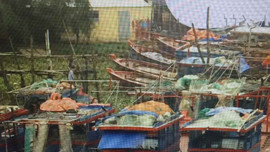 Thái Bình: Tập trung  kêu gọi, tổ chức neo đậu tàu thuyền vào nơi an toàn, tránh bão số 4
