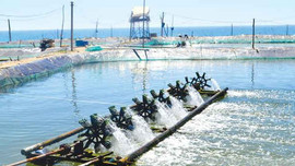 Tăng cường bảo vệ nước ngầm tại Việt Nam