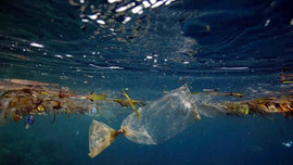 Chai nhựa tự hủy trong nước – hướng đi mới chống ô nhiễm đại dương
