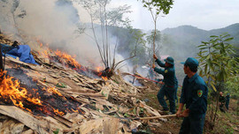 Lào Cai: Diễn tập phòng chống cháy rừng và tìm kiếm cứu nạn