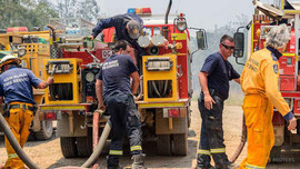 Australia: Hơn 527.000 ha đất ở bang Queensland bị phá hủy do cháy rừng nghiêm trọng