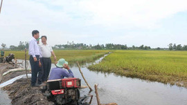 Quản lý bền vững đất đai Đồng bằng Sông Cửu Long