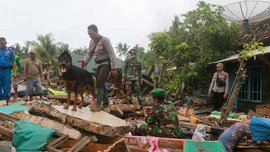 Sóng thần ở Indonesia: Số người chết tăng cao, lực lượng cứu hộ ráo riết tìm kiếm người sống sót