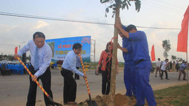 Quảng Trị: Phát động trồng cây đầu Xuân Kỷ Hợi 2019