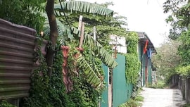 Huyện Thanh Trì có làm ngơ cho doanh nghiệp “hô biến” hàng nghìn m2 đất nông nghiệp?