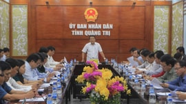 Quảng Trị: Chủ tịch các huyện, thị xã, thành phố phải chịu trách nhiệm nếu để xảy ra dịch tả lợn Châu Phi