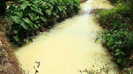 Đà Nẵng: Lấy mẫu nước xả thải KCN Hòa Cầm phân tích thông số môi trường