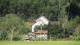 Huyện Hoài Nhơn, Bình Định: Báo động tình trạng lấn chiếm, xây dựng trên đất nông nghiệp