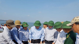 Quảng Nam: Cắm biển cấm người dân và du khách lên đảo cát “bí ẩn” ở Hội An