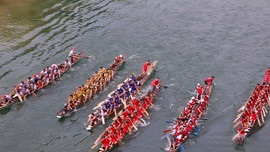 Quảng Bình: Tưng bừng Lễ hội đua thuyền, Hội thi cá trắm trên sông Son