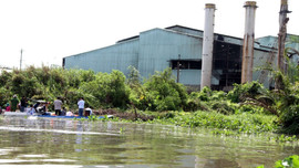 Hậu Giang: Nguyên nhân chính gây ô nhiễm nguồn nước từ xả thải của Nhà máy mía đường, cồn Long Mỹ Phát