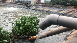 Hà Nội: Trạm xử lý phân bùn bể phốt Cầu Diễn xả thải đúng quy định