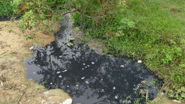 Xử phạt Nhà máy đường An Khê 468 triệu đồng vì xả nước thải chưa xử lý ra môi trường