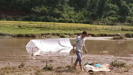 Thanh Hóa: Trên đường ra đồng gặt lúa, 2 vợ chồng bị điện giật tử vong