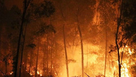 Nghệ An: Nắng nóng gay gắt, “căng mình” chữa cháy rừng