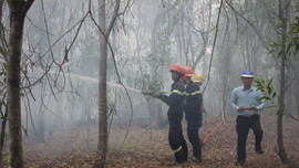 Đà Nẵng: Thực hiện chỉ đạo của Thủ tướng Chính phủ về tăng cường kiểm soát cháy rừng
