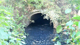 Tuy Phước (Bình Định): Người dân xã Phước Thành “kêu trời” vì nước mương Xanh ô nhiễm