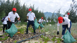 Đà Nẵng: 800 tình nguyện viên “Giải cứu đại dương”